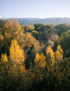 Golden Aspen Views and Fall Colors at Tesuque Outpost