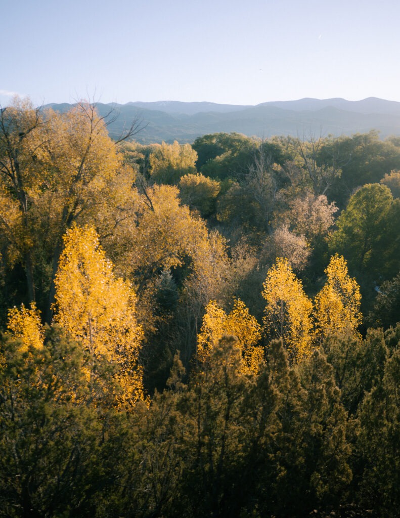 The deck view toward the Sangre de Cristo Mountains, cottonwoods and scrub oak turning gold and rust in the valley below